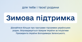 Зимова підтримка